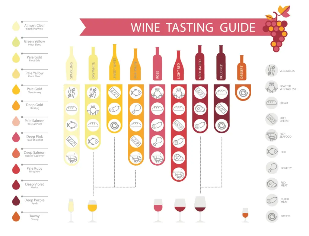 Tasting guide shows different types of foods that pair well with each type of wine