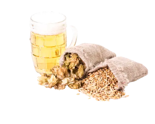 Sacks of barley and hops next to a mug of beer